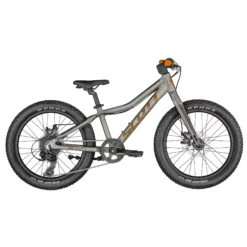 Scott Roxter 20 Silver Kinderbike (2023)