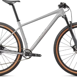 Specialized Chisel Comp Silver/spectraflair MTB-Hardtail (2022)