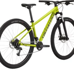 Specialized Rockhopper 29 Olive Green/black MTB-Hardtail (2022) -Scott Verkaufsladen Specialized Rockhopper 29 olive green black MTB Hardtail 2022 91522 71 b 2